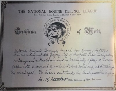 Equine Defence League Certificate